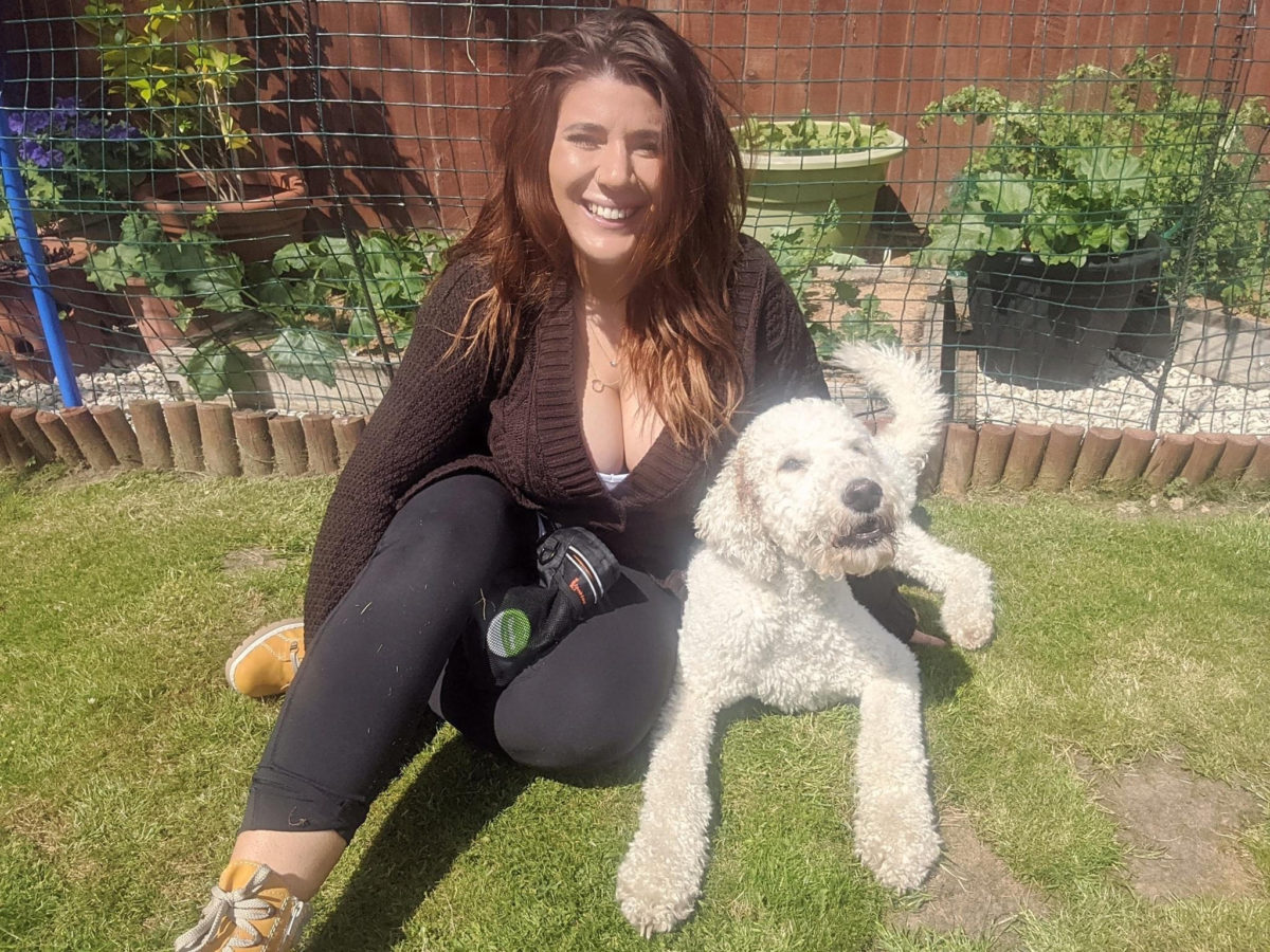 Meet the Team Wags to Wishes